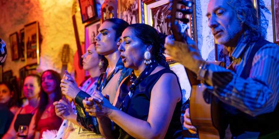 diccionario flamenco
